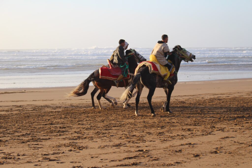 Horse ride tour in Agadir​